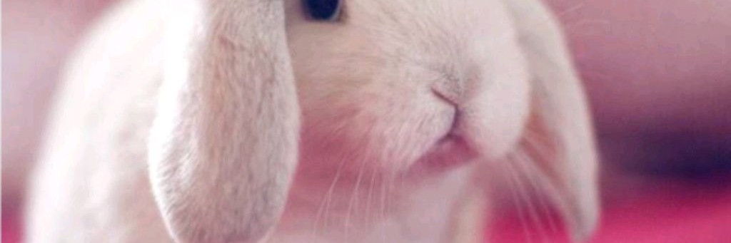 💚 Бусинка 💚