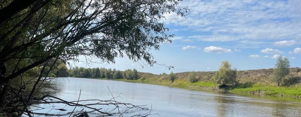 КЛЁВая рыбалка в Омске