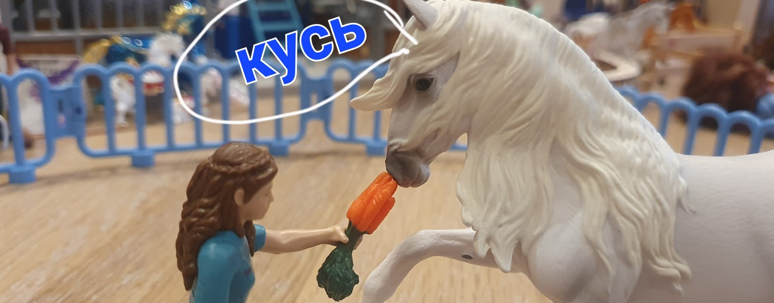 София Horses. Конный двор Ювента