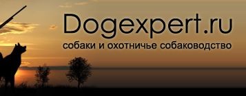 dogexpert.ru