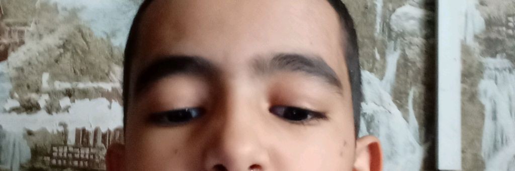 Safialloh 228