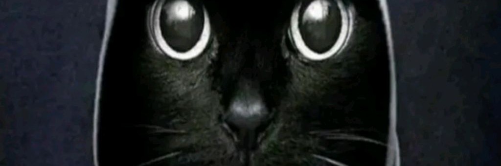 Дон Дон Мегаладон