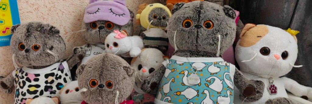 Машины Басики