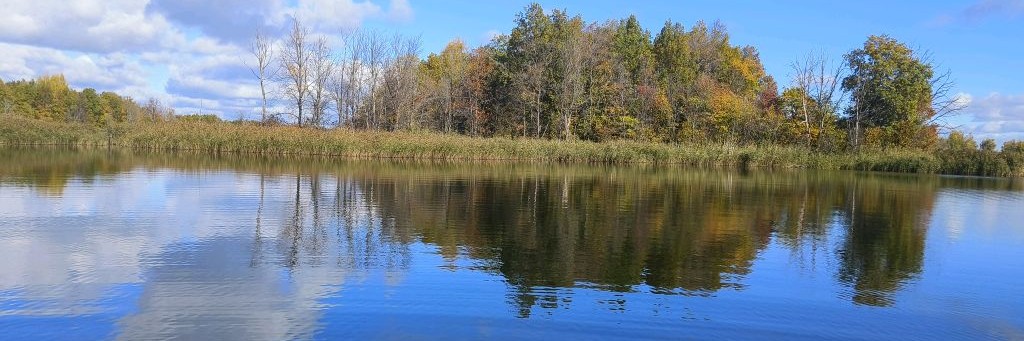 Обычная жизнь, обычного человека.)