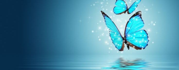 Живое Пространство Ладария