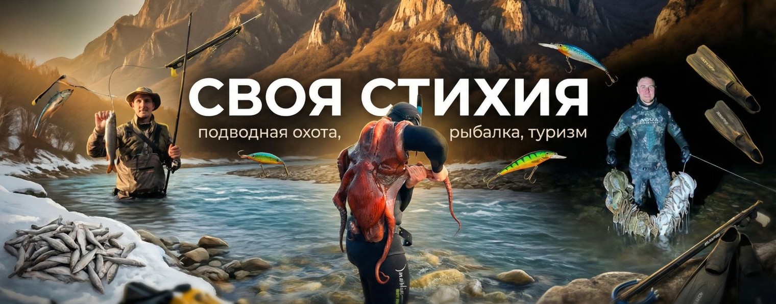 СВОЯ СТИХИЯ