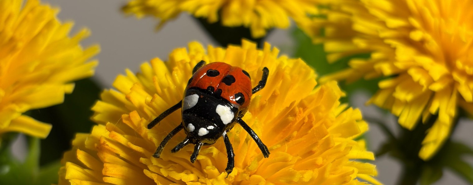 BFlowers | Цветы и букеты из глины