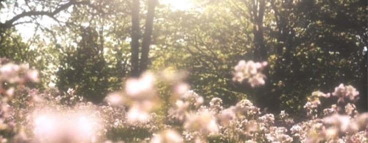 —🌷^^ollu_wind^^🍃