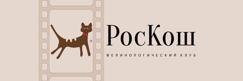 «РосКош.media»