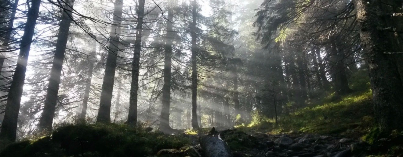 ОТДЫХАЕМ С РЕГИОН 73