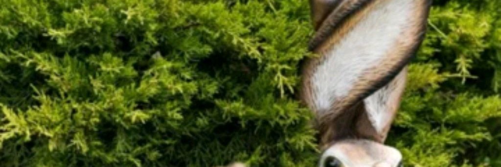 Полевой Работник!