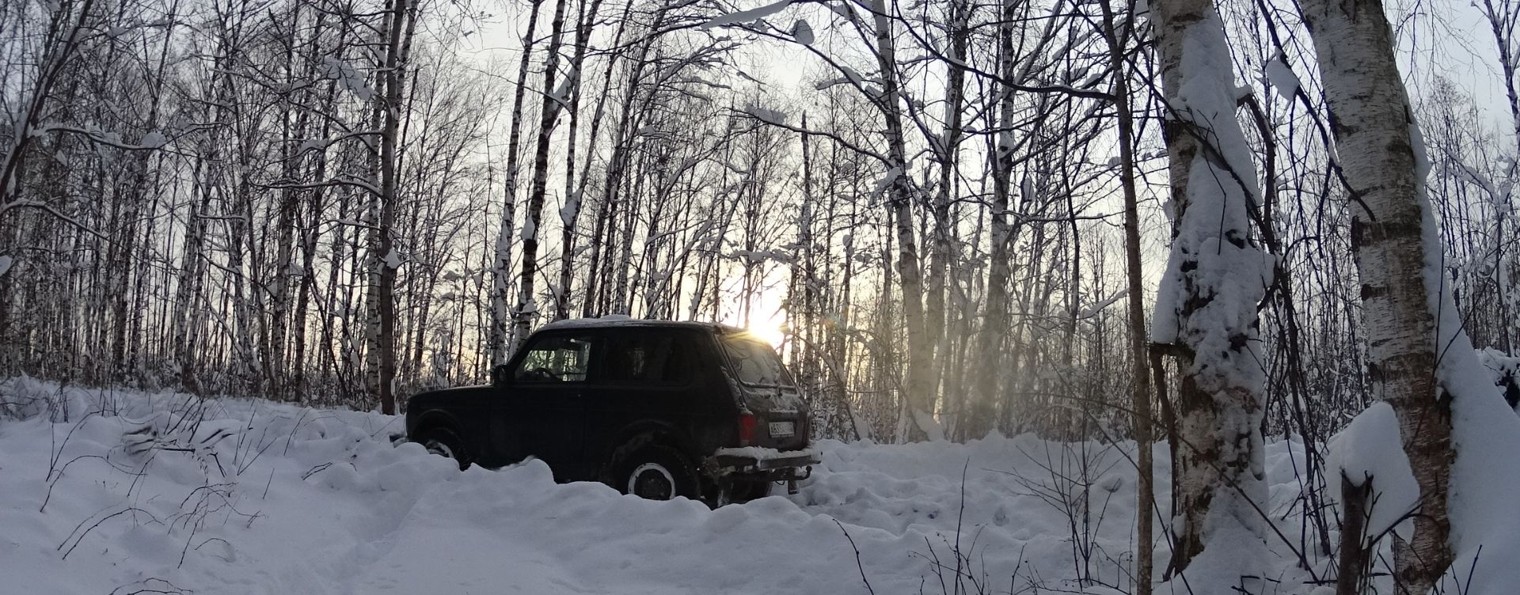 Лесной край