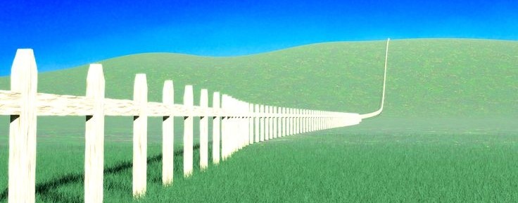 Серый Волк TOCA🐺