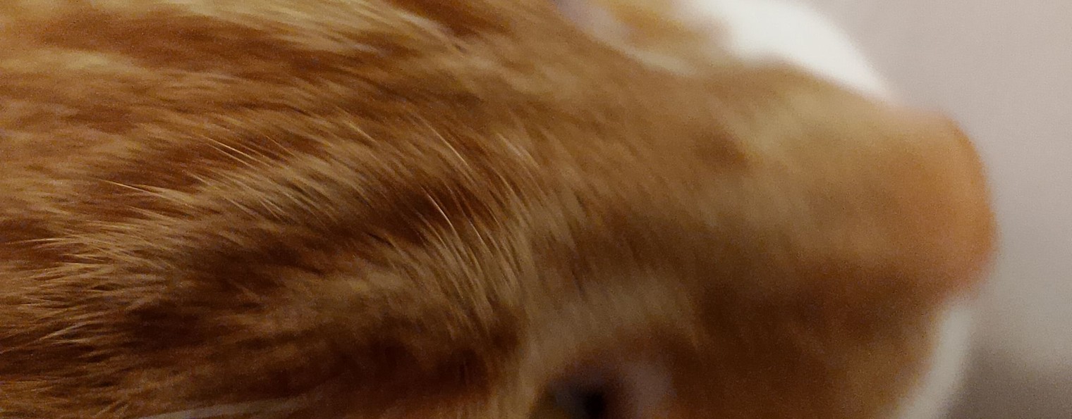 Вова Вербицкий