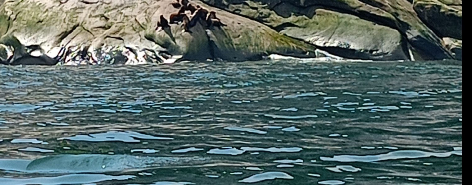 Тур по Охотскому морю