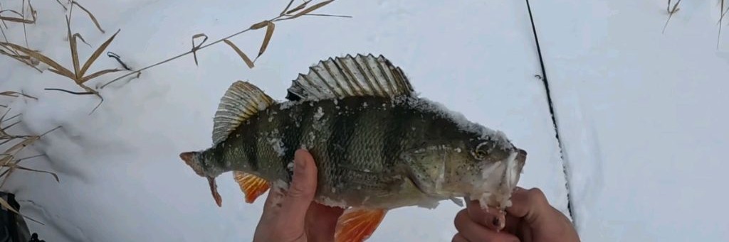 ВМЕСТЕ с КЛËВОм