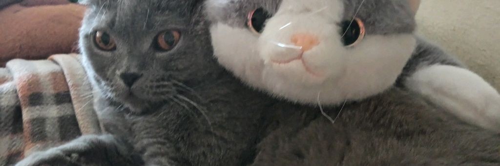 Басикс 💗😚❤️