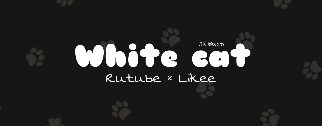 White Cat 🐾