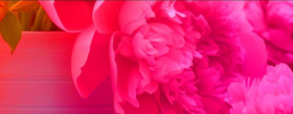 Мелодия уютного быта