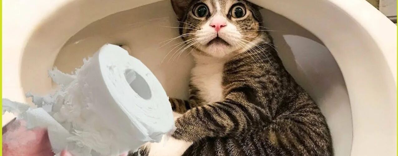 Смешно за ха ха