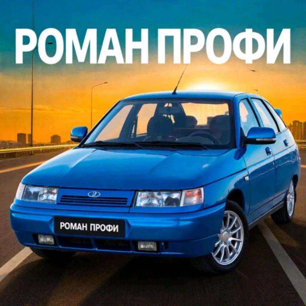 Роман профи