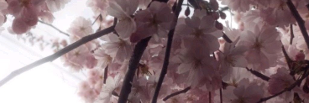 ¤•👐°💕yogurt_rbixᝰ⋆⸜ 🧁★🎧.°