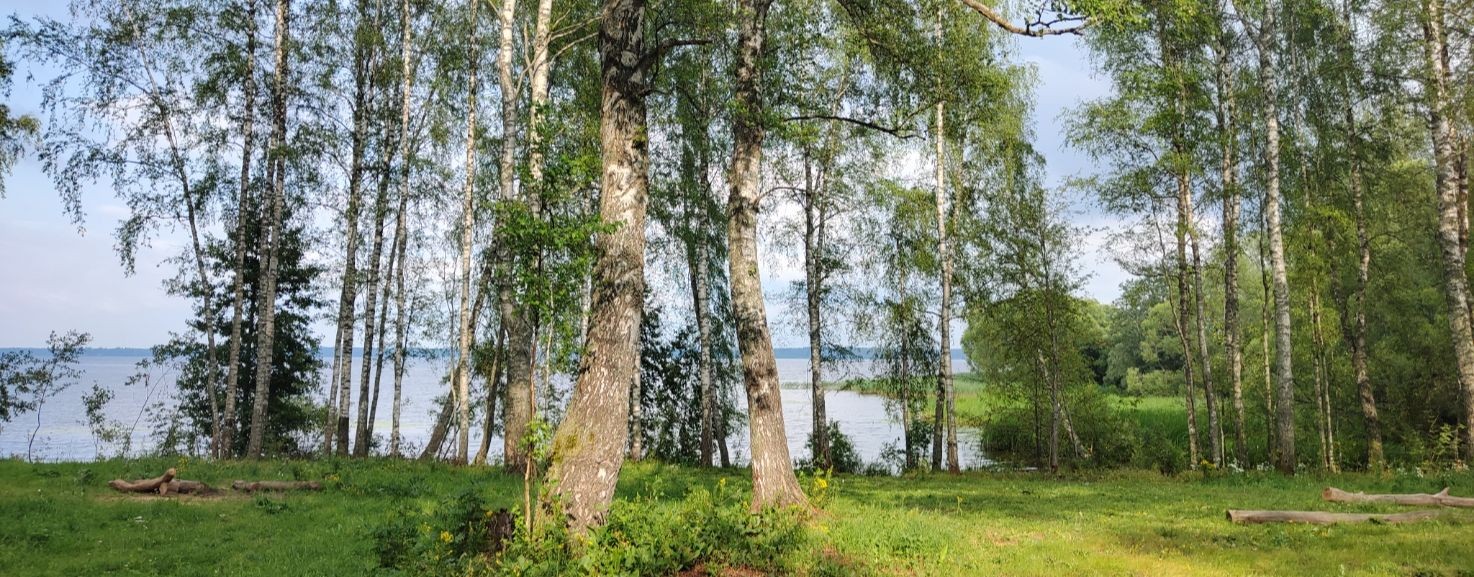 Чалокьяновка