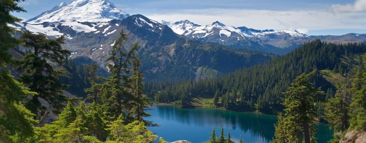 Мир короткого контента