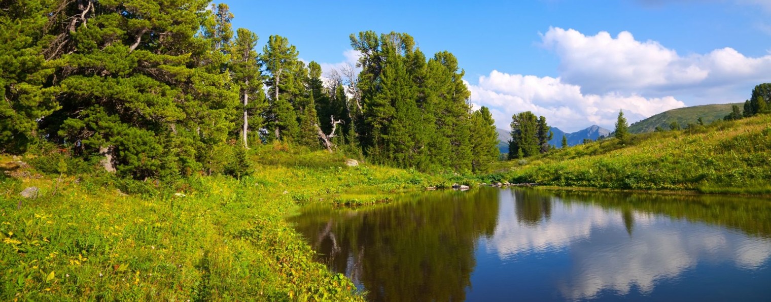 Все обо всем 555