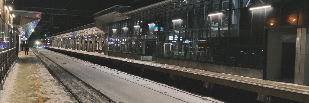Vladus_2.0_