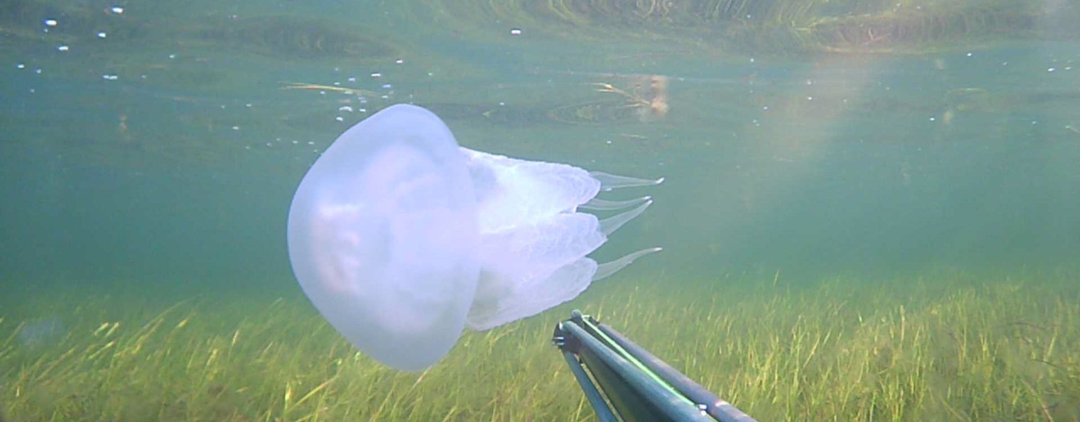 Чёрное море. Et settera....