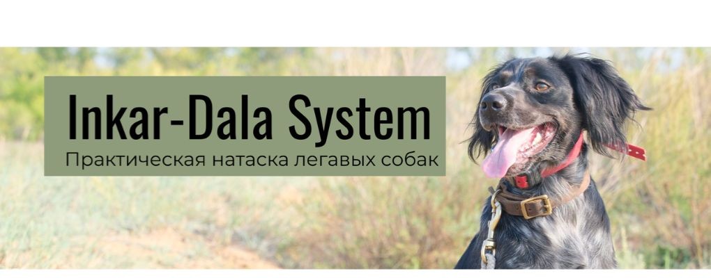 Inkar-Dala System