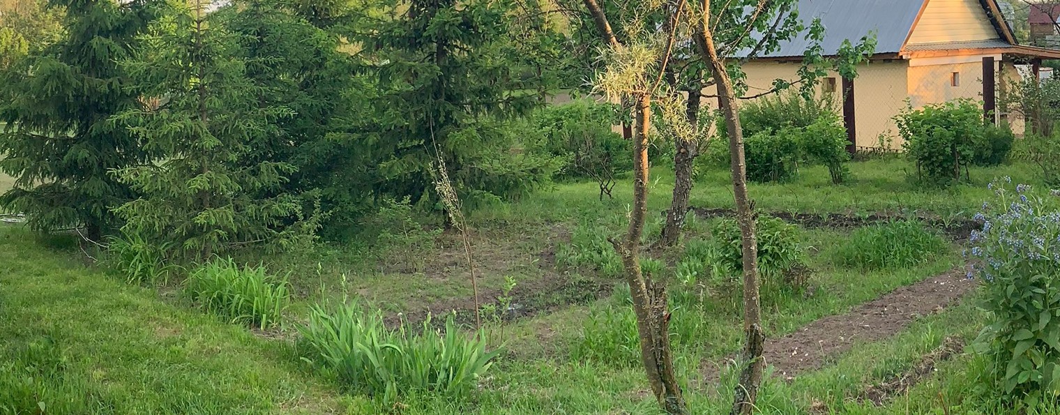 Дачная Жизнь