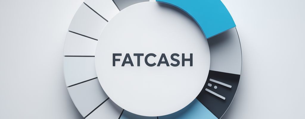 FatCash | Оцифровка WB | Финансы на МП