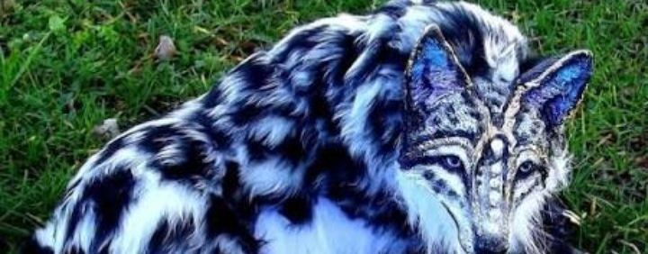 𝐄𝐝𝐢𝐧𝐨𝐫𝐨𝐳𝐡𝐤𝐚-𝐌𝐨𝐫𝐨𝐳𝐡𝐤𝐚🧁🧁🧁