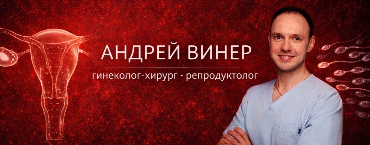 Андрей Винер | ЭКО и гинекологическая хирургия