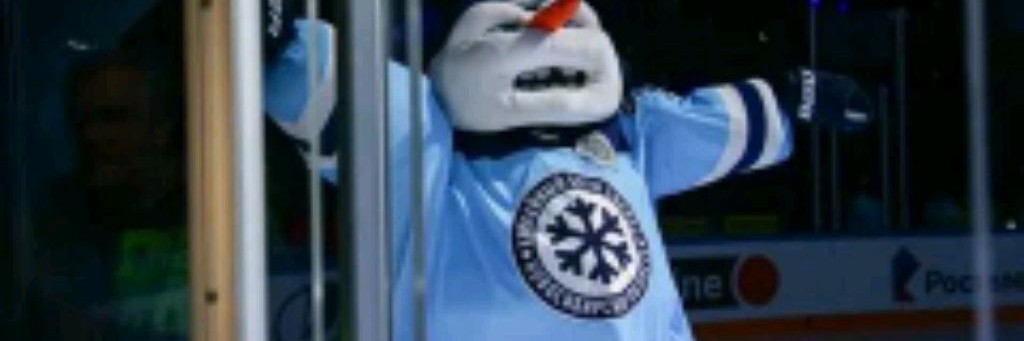 ❄️Dinomit54 HC SIBIR❄️