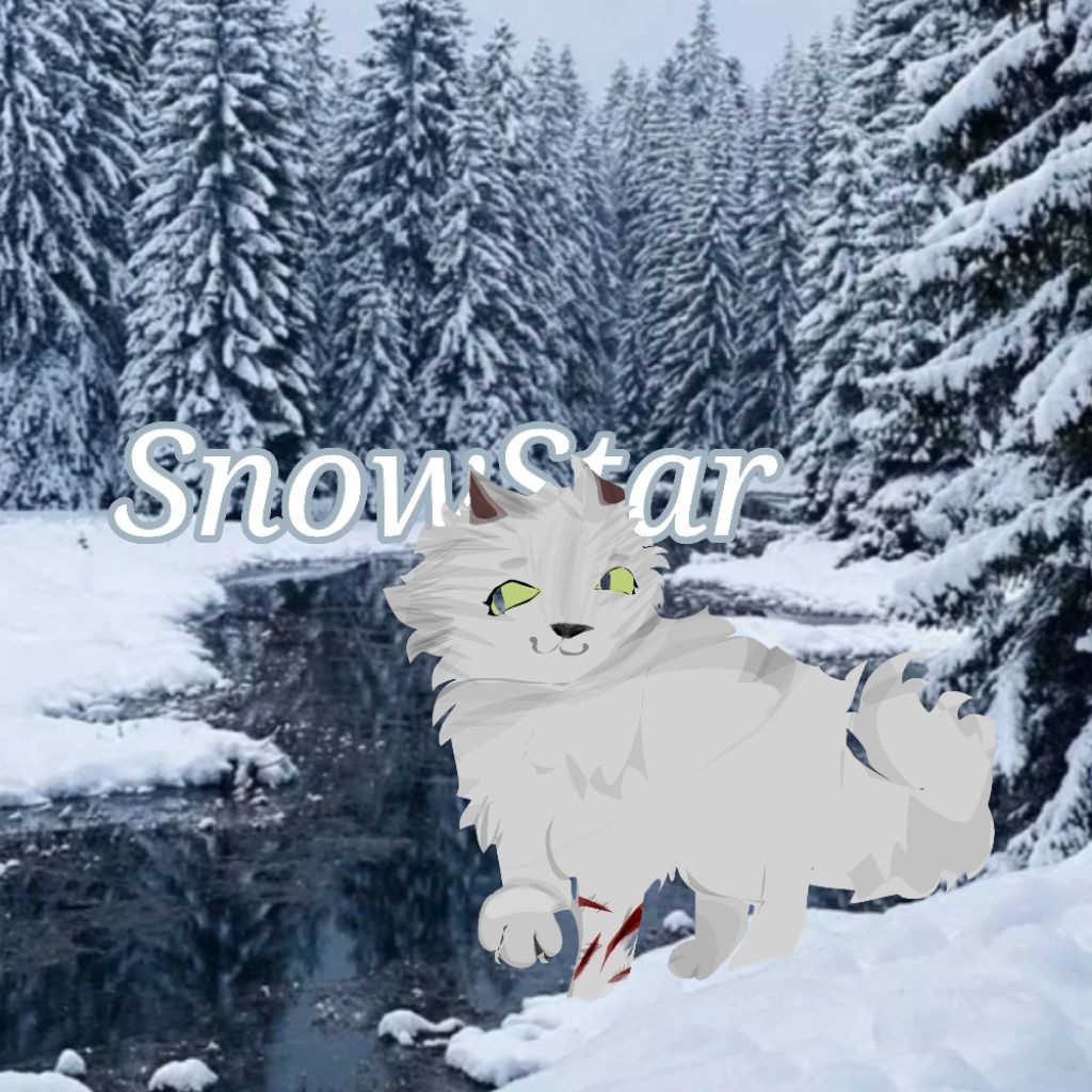 ☃️SnowStar WC🐱