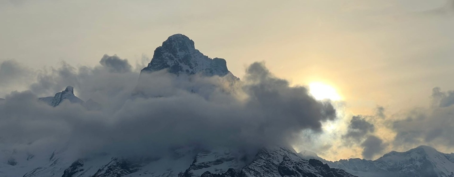 ТЕЛЕГА-Плей