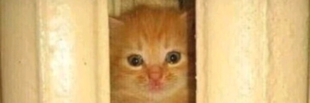 Световой Ангел