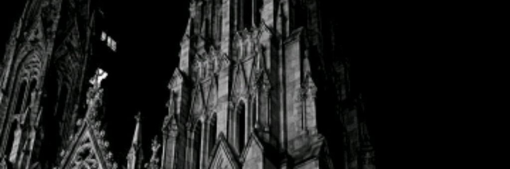 チャンネルミンク