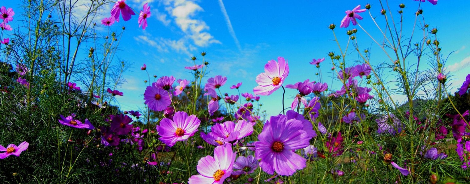 Крымская семья