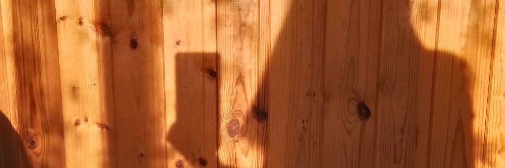 💓юⲗυⲕⲥ_BLOG💓