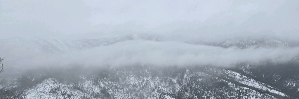 Александр Решетников