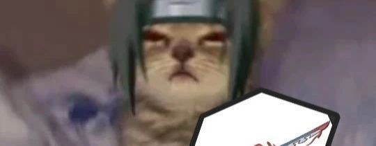 cat_itachi 989