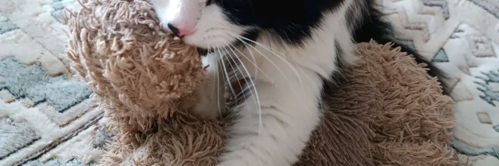 Дуся и Маруся Участники Канала