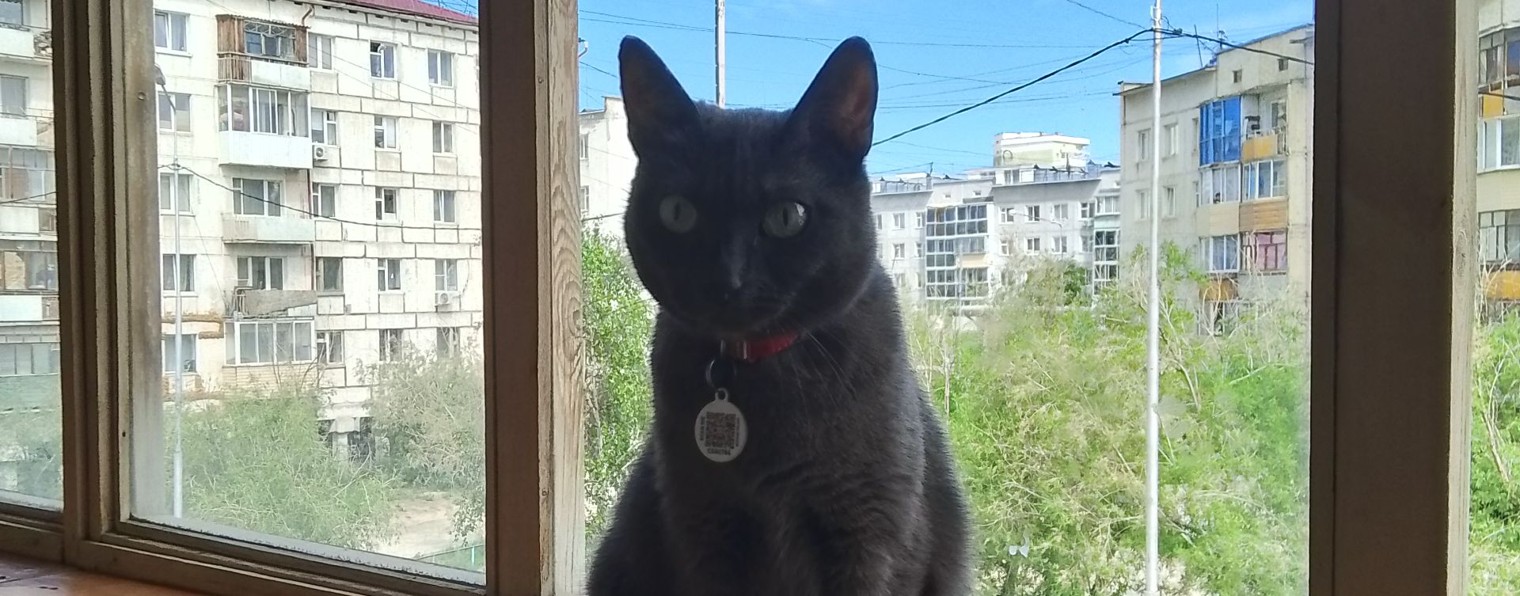 Yoka-game Йока игры