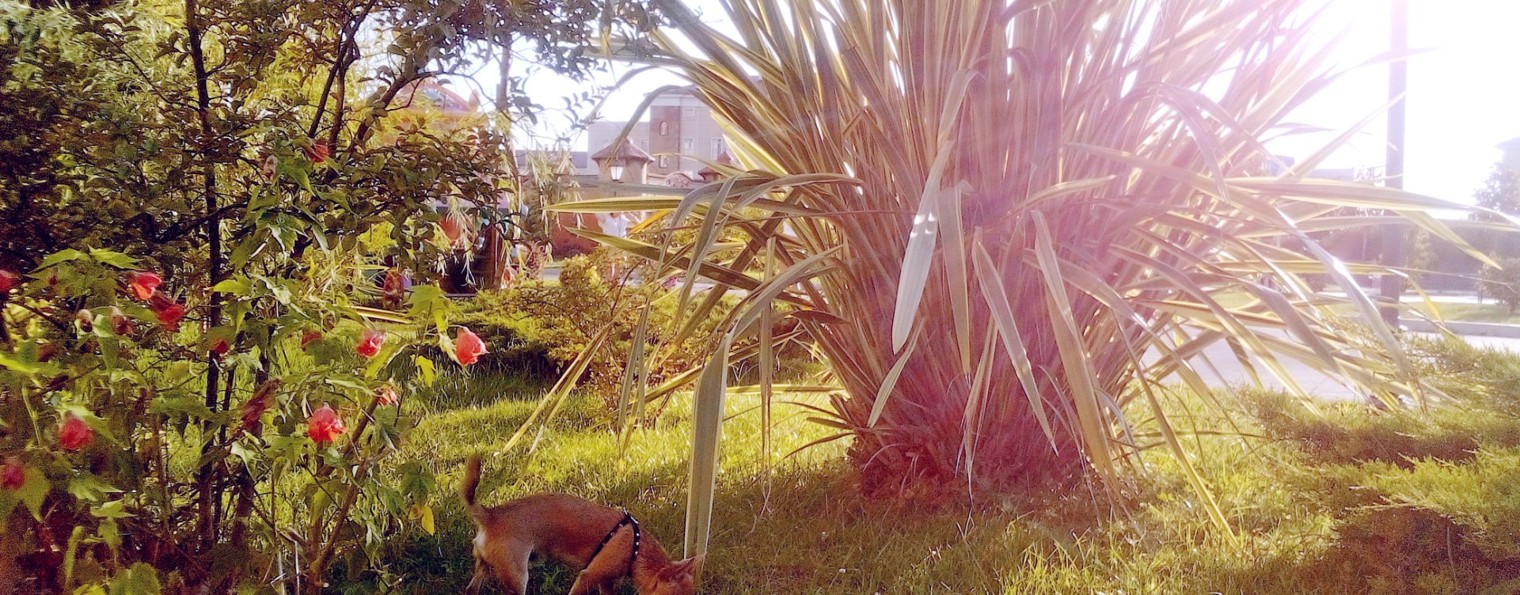 Картина моей жизни.