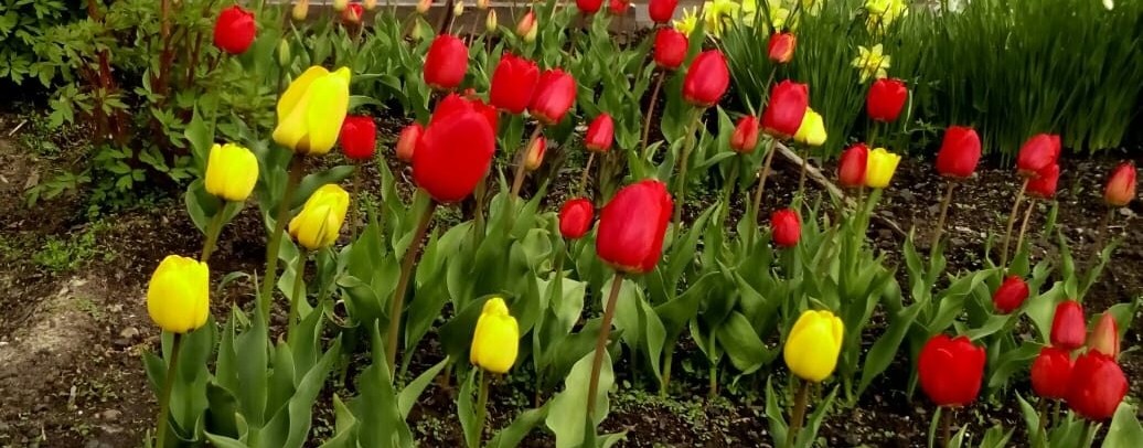 Пасека в прибайкалье. Р. Бурятия