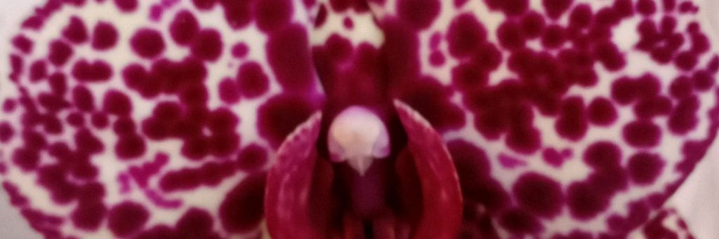 "Всё обо всём"